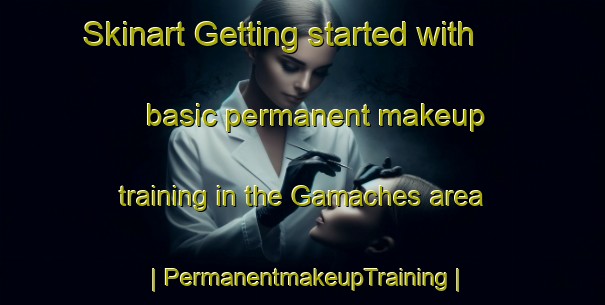 Skinart Getting started with basic permanent makeup training in the Gamaches area | PermanentmakeupTraining | PermanentmakeupClasses | SkinartTraining-France